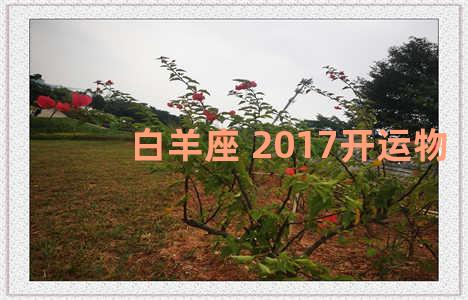 白羊座 2017开运物